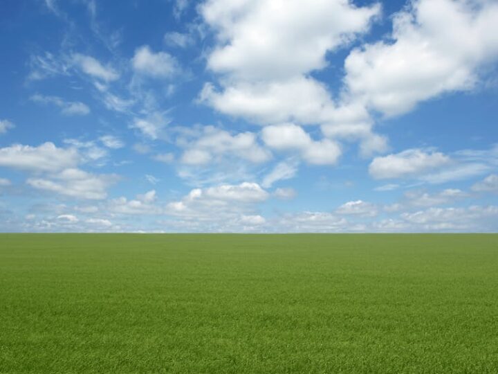 Flat Earth, ghosts and conspiracy theories – experience can shape even unusual beliefs